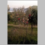 Auch an einer gewissen Weihnachtsstimmung fehlt es nicht, und ... Auch an einer gewissen Weihnachtsstimmung fehlt es nicht, und ...